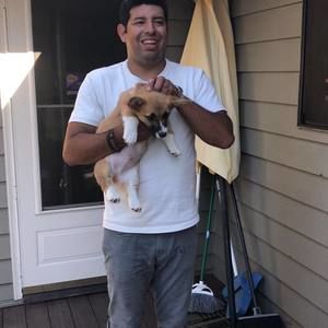 Meet your Posher, Joel